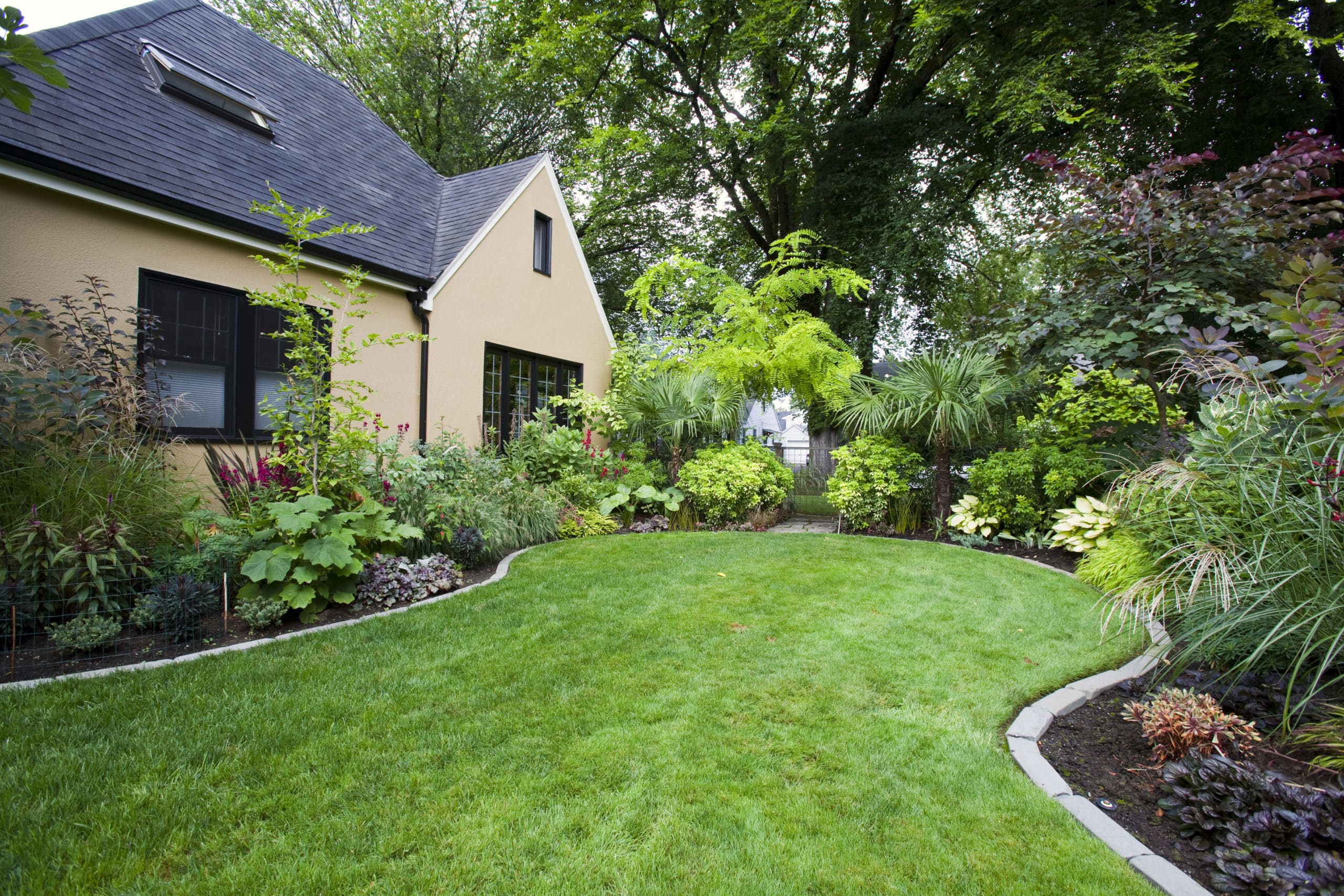 small backyard with excellent landscape design