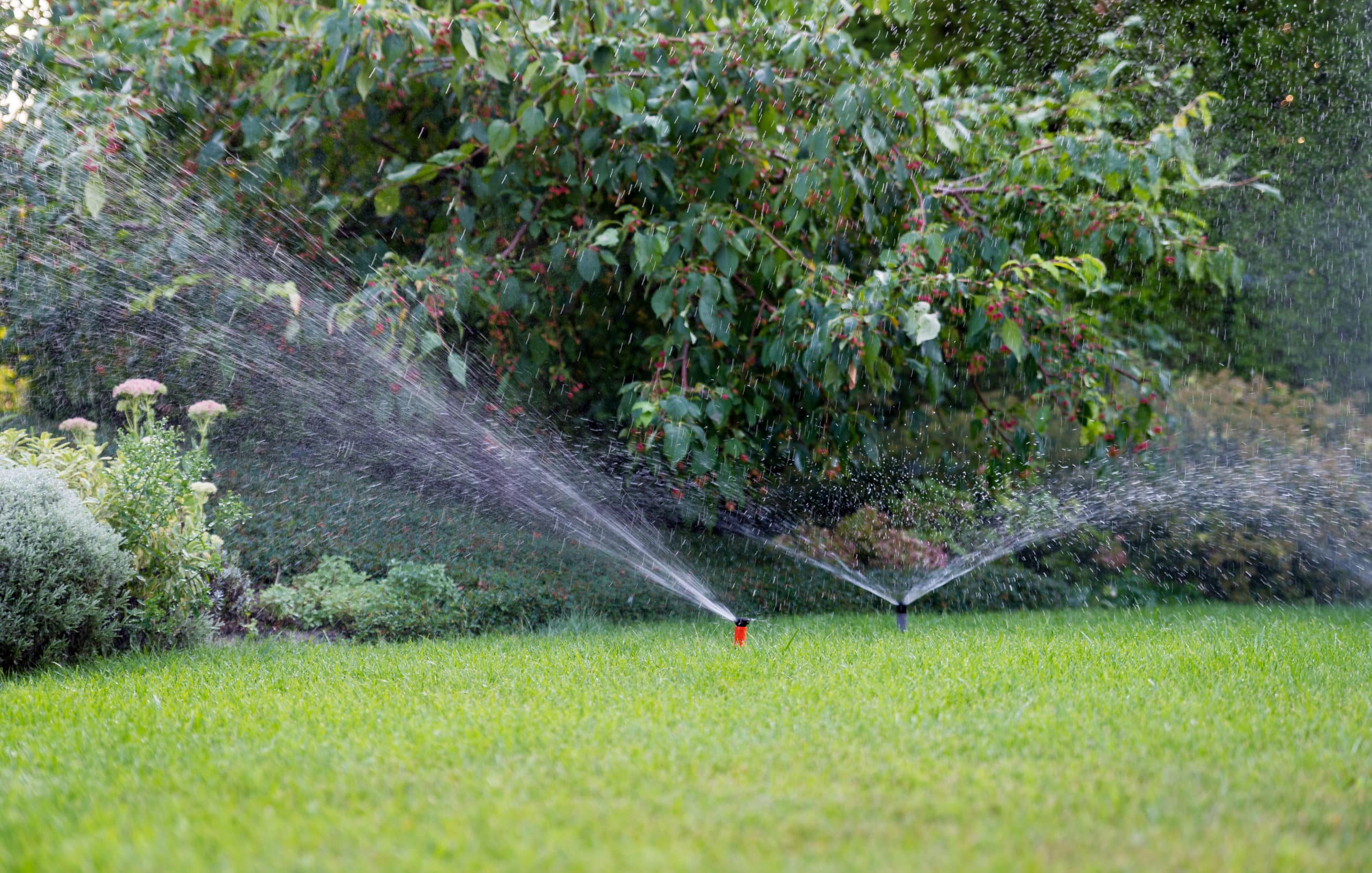 Why Choose Automatic Sprinkler System Installation Bayside Landscaping 3