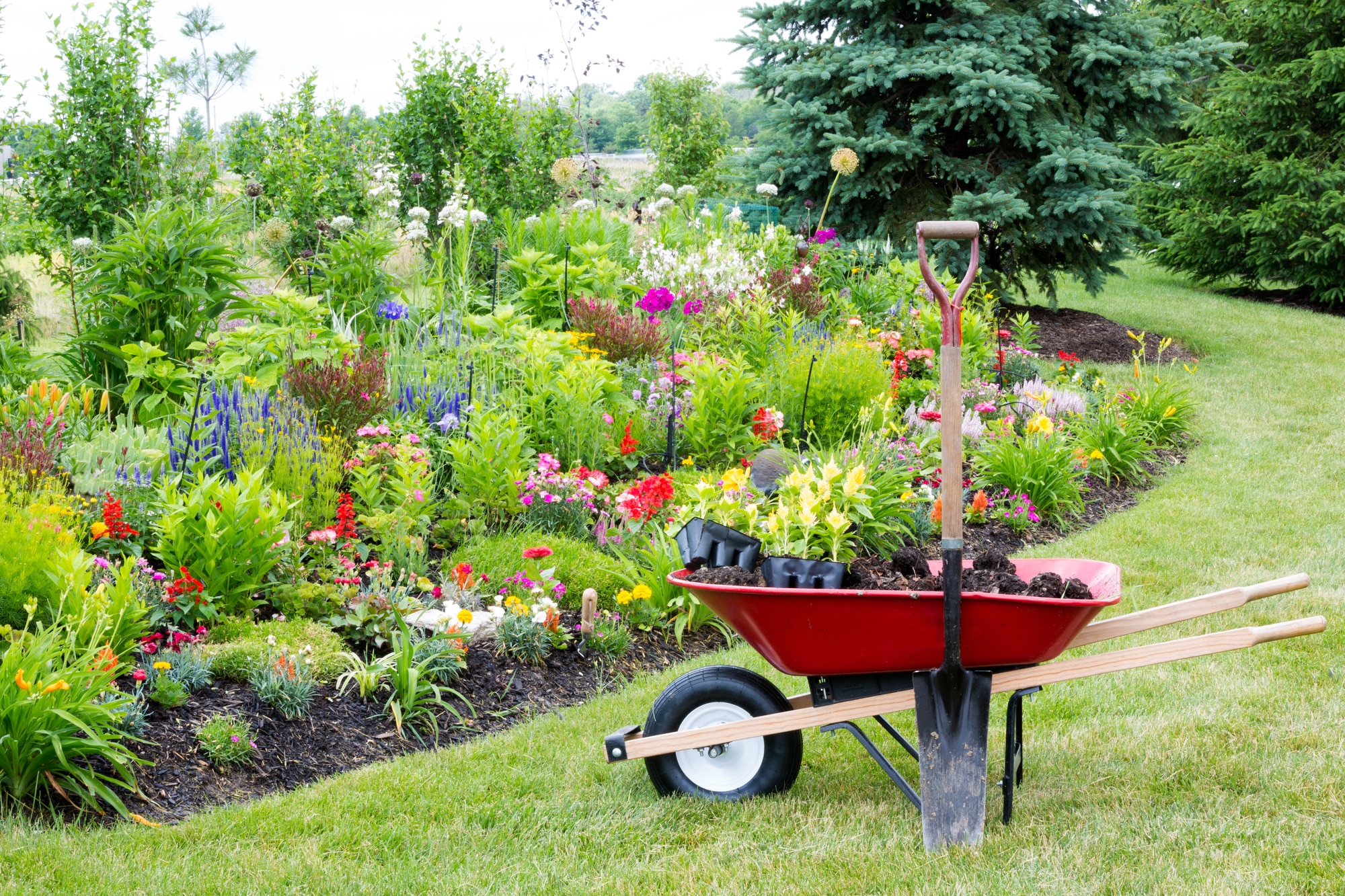 how to start a landscaping project