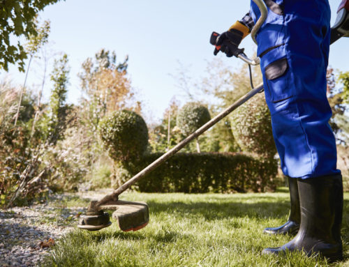 PROTECT YOUR TREES FROM MOWER AND STRING TRIMMER BLIGHT