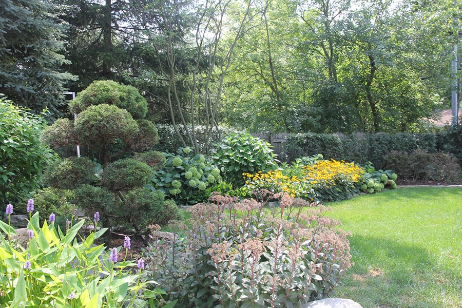 landscaping services by bret-mar. trees shrubs and plants