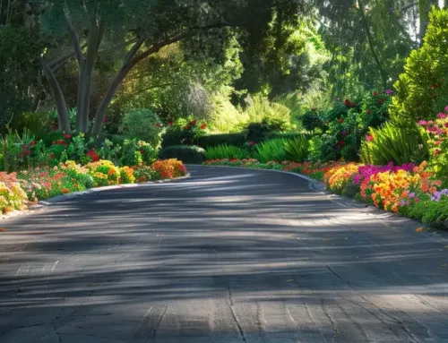 Essential Seasonal Driveway Landscaping Tips for Every Homeowner