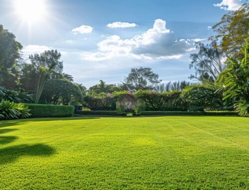 Understanding the Importance of Organic Lawn Care for Sustainable Landscapes