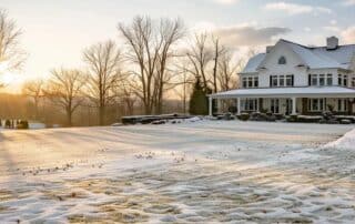 winter lawn care tips