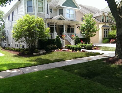 Important Features of Local Landscaping Companies to Evaluate