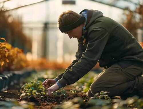 Best Practices for Prairie Fire Crabapple Planting Depth