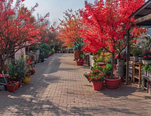 Essential Root Care Tips for Prairie Fire Crabapple