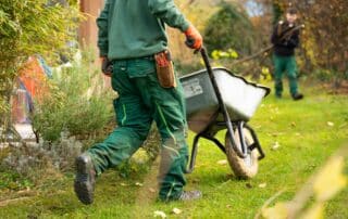 Landscaping Services