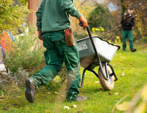 Hardscaping vs Landscaping: What You Need to Know